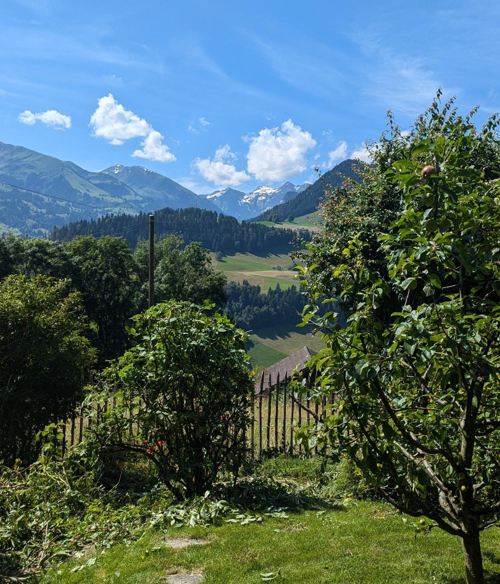 Swiss Mountain-Valley View Lodge Erlenbach im Simmental Εξωτερικό φωτογραφία