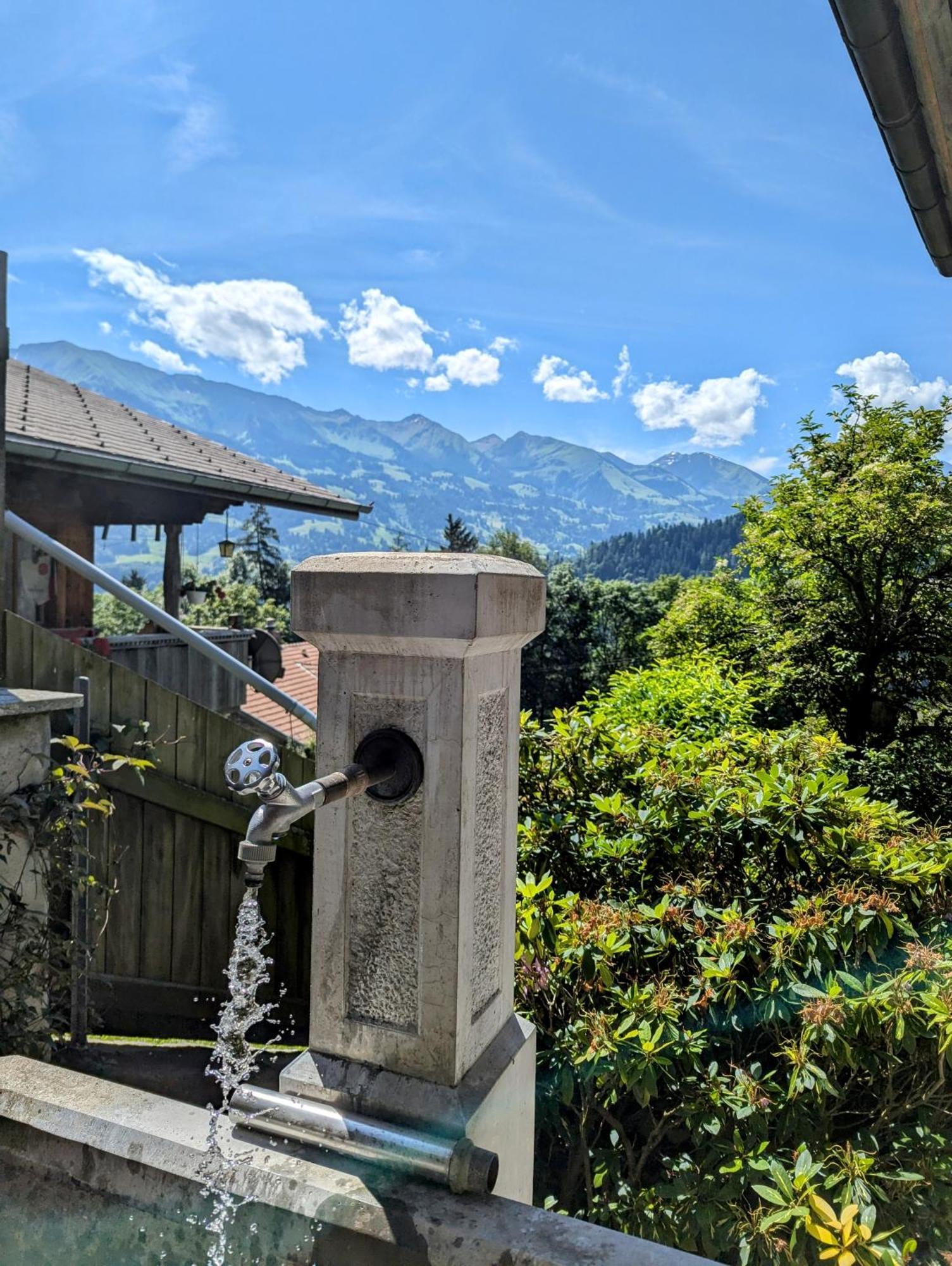 Swiss Mountain-Valley View Lodge Erlenbach im Simmental Εξωτερικό φωτογραφία