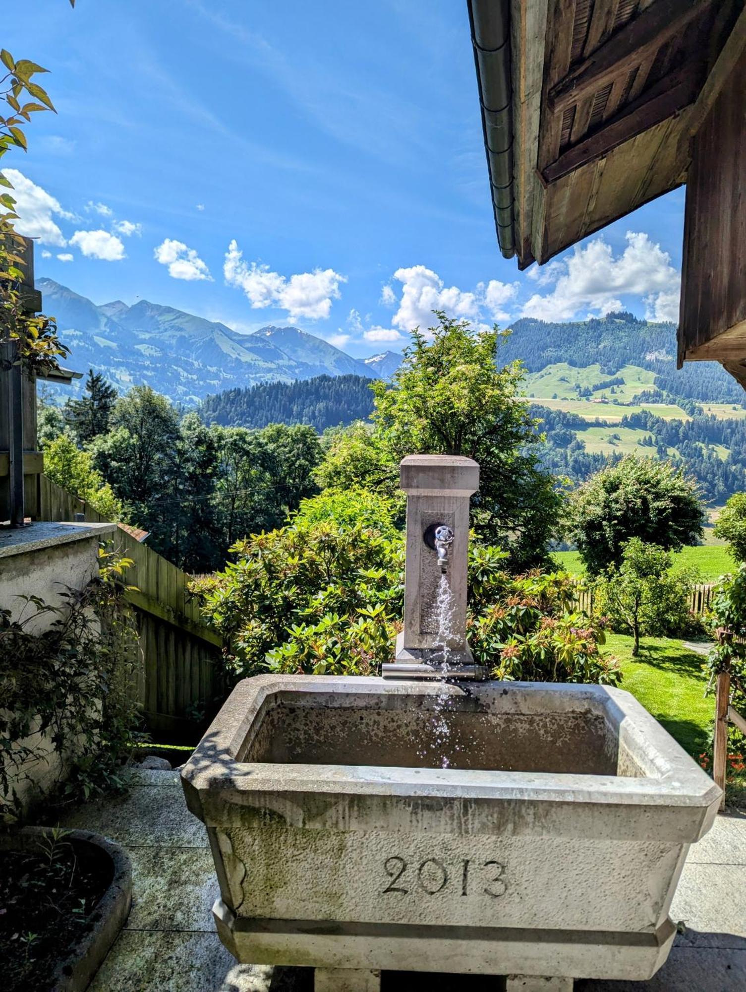 Swiss Mountain-Valley View Lodge Erlenbach im Simmental Εξωτερικό φωτογραφία