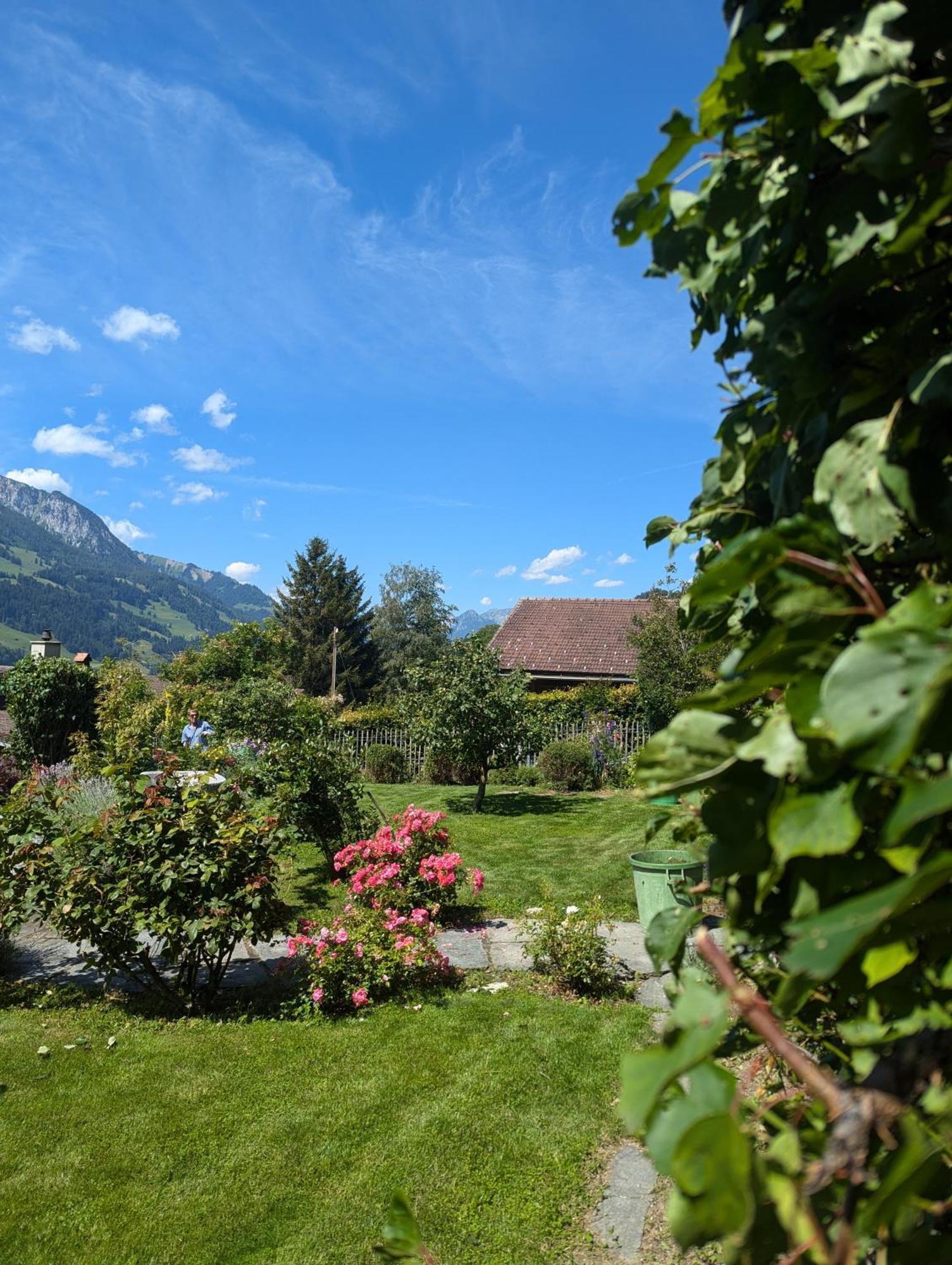 Swiss Mountain-Valley View Lodge Erlenbach im Simmental Εξωτερικό φωτογραφία