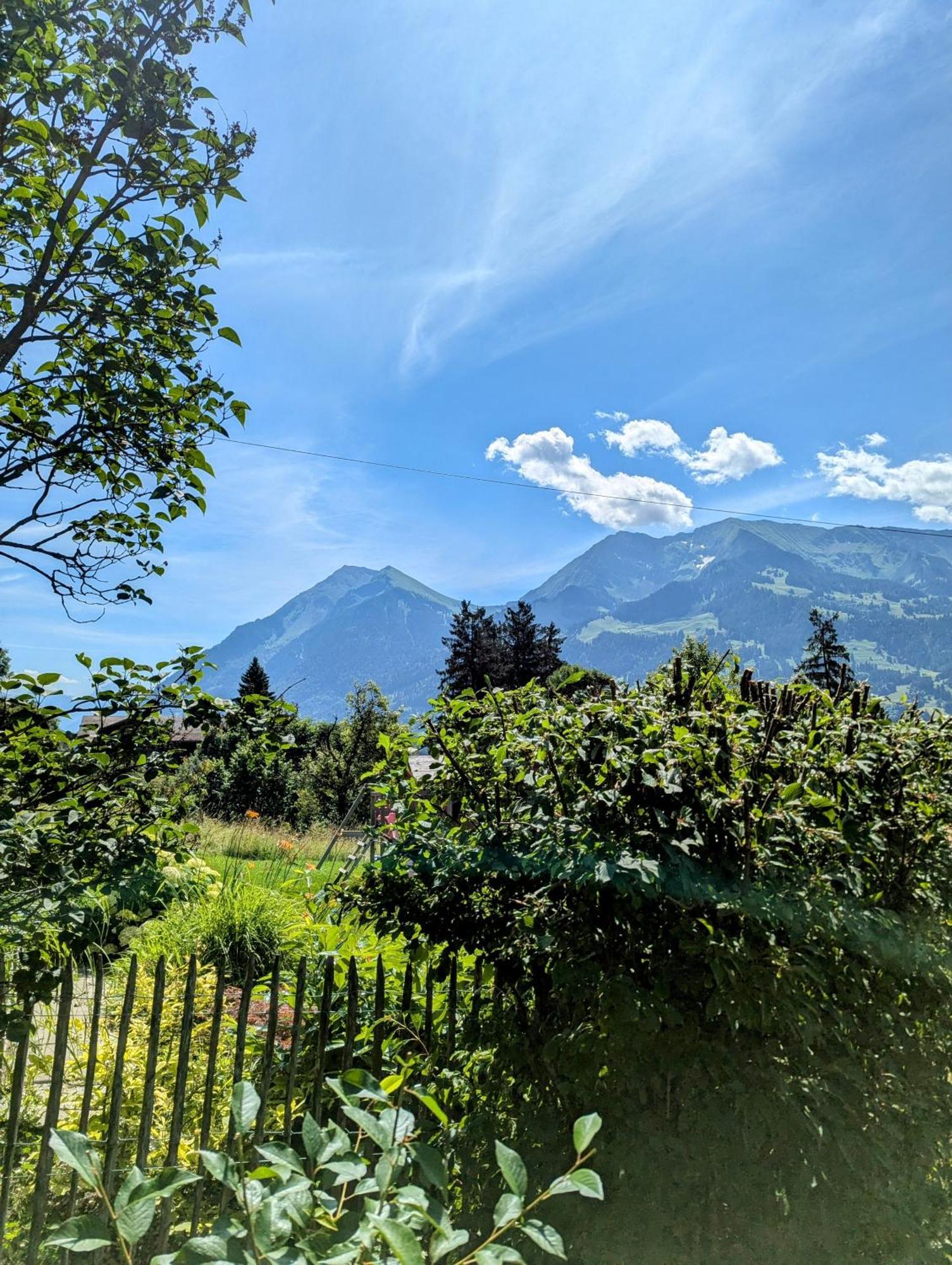 Swiss Mountain-Valley View Lodge Erlenbach im Simmental Εξωτερικό φωτογραφία