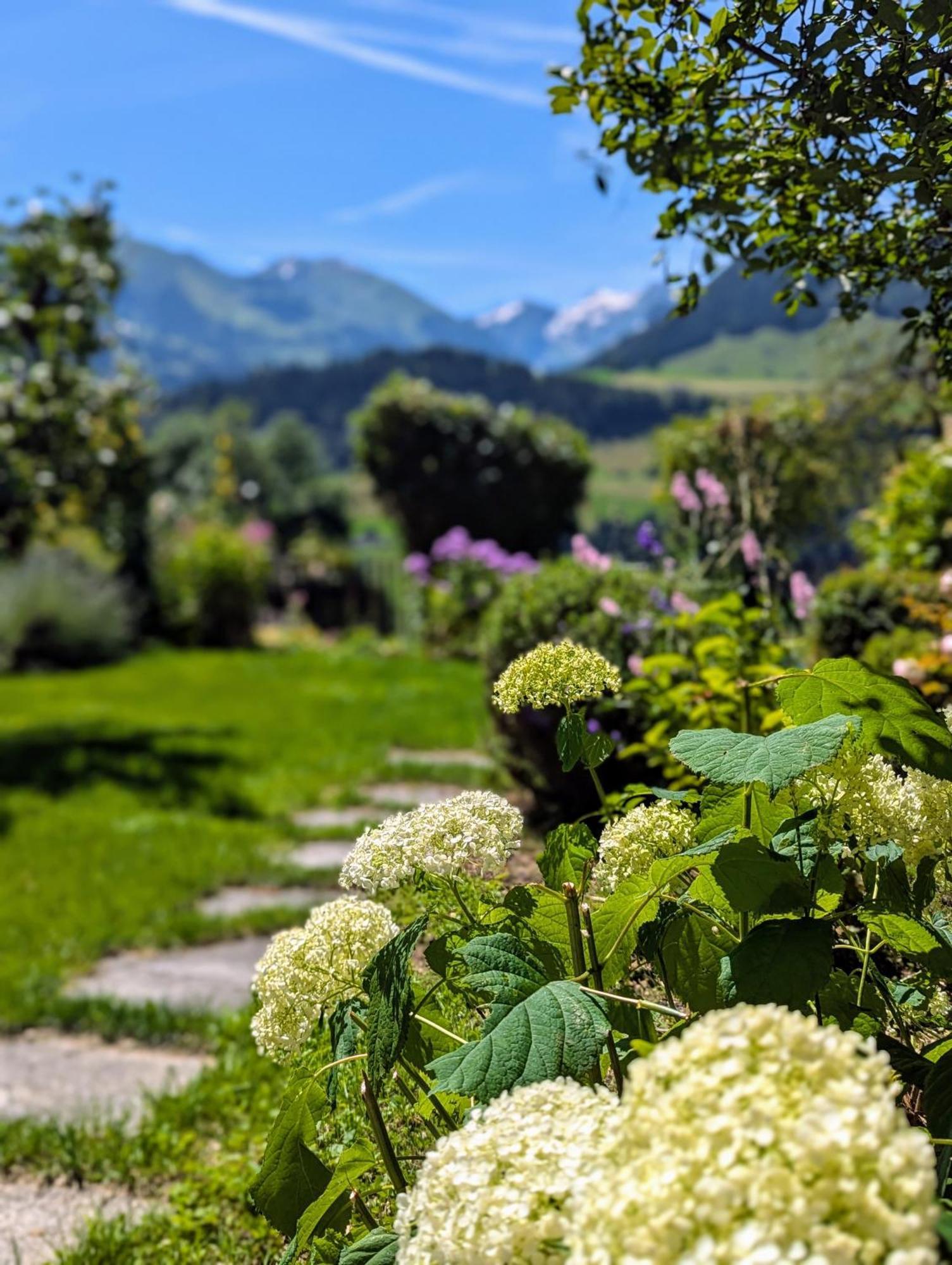 Swiss Mountain-Valley View Lodge Erlenbach im Simmental Εξωτερικό φωτογραφία