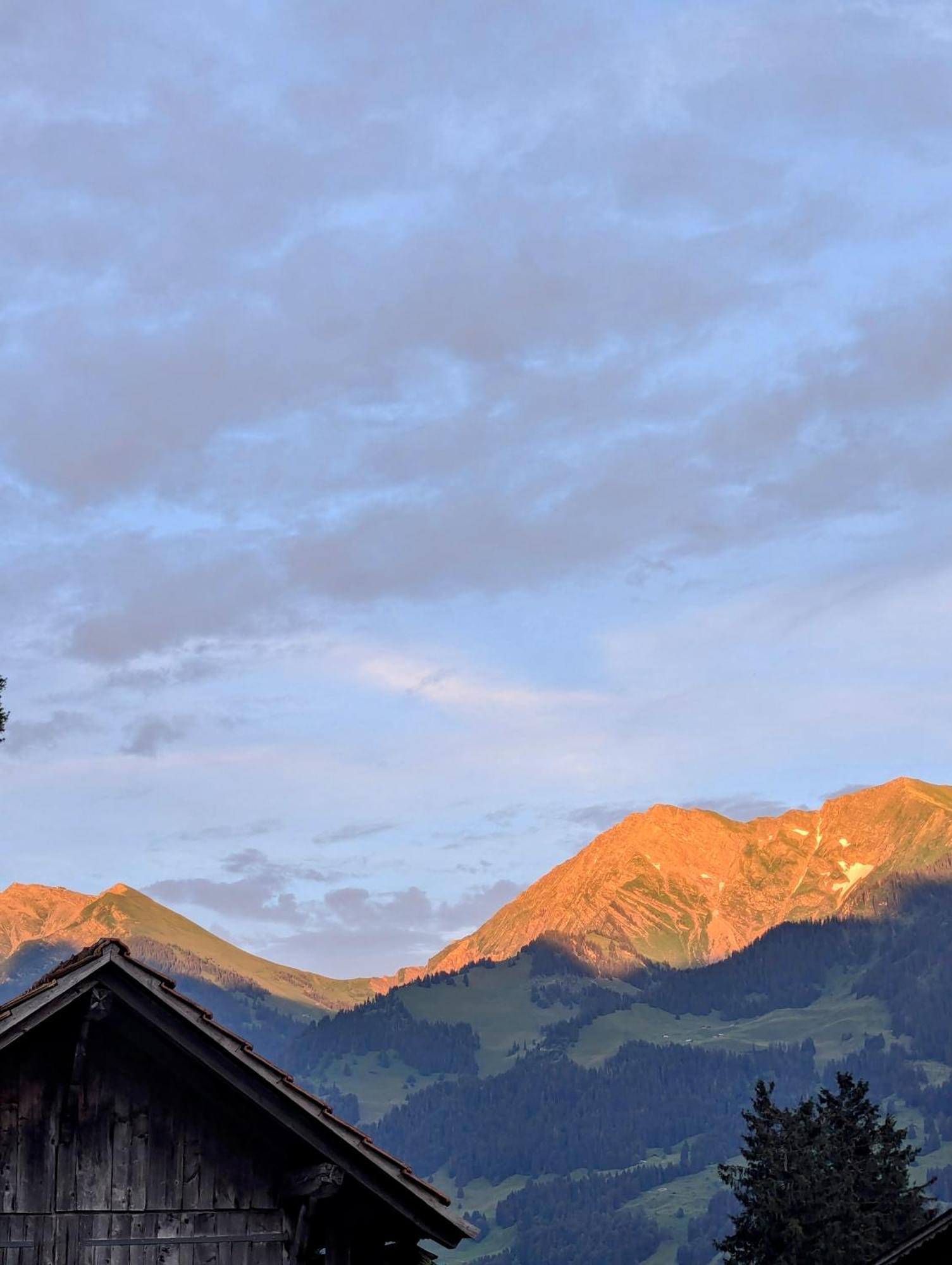 Swiss Mountain-Valley View Lodge Erlenbach im Simmental Εξωτερικό φωτογραφία