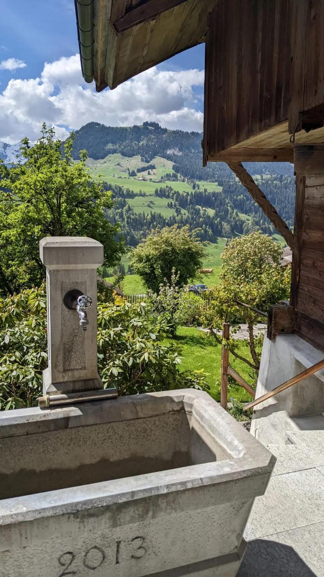 Swiss Mountain-Valley View Lodge Erlenbach im Simmental Εξωτερικό φωτογραφία