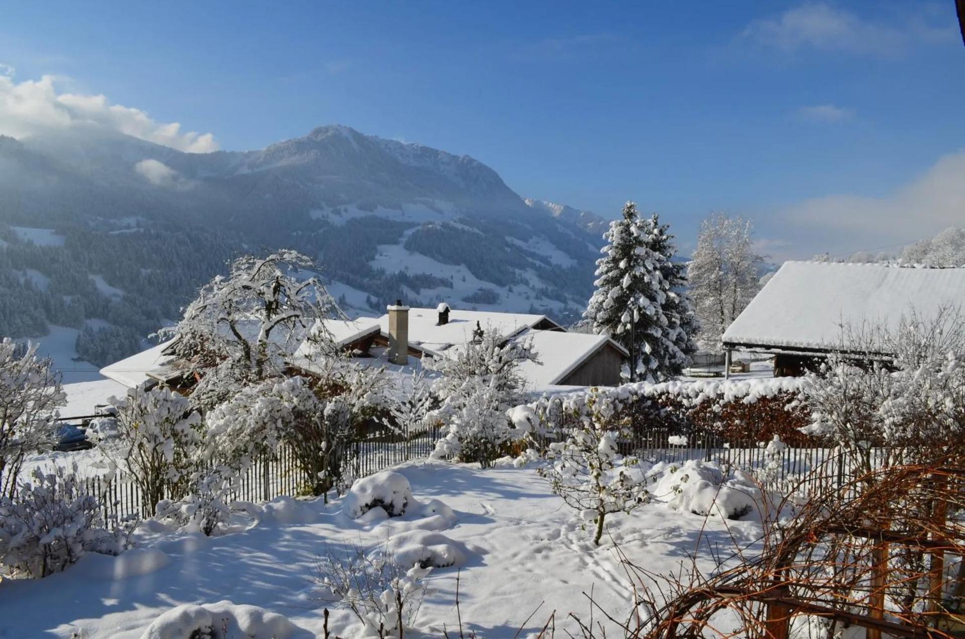 Swiss Mountain-Valley View Lodge Erlenbach im Simmental Εξωτερικό φωτογραφία