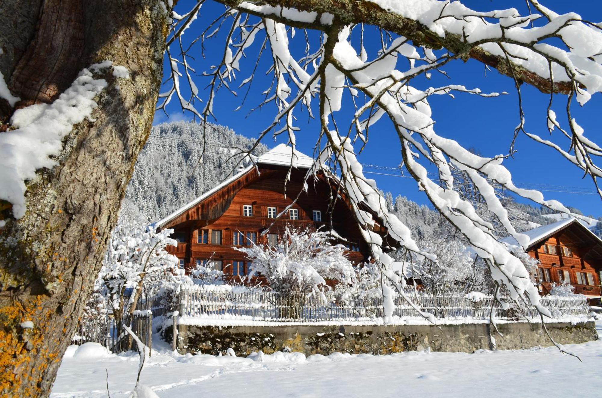 Swiss Mountain-Valley View Lodge Erlenbach im Simmental Εξωτερικό φωτογραφία